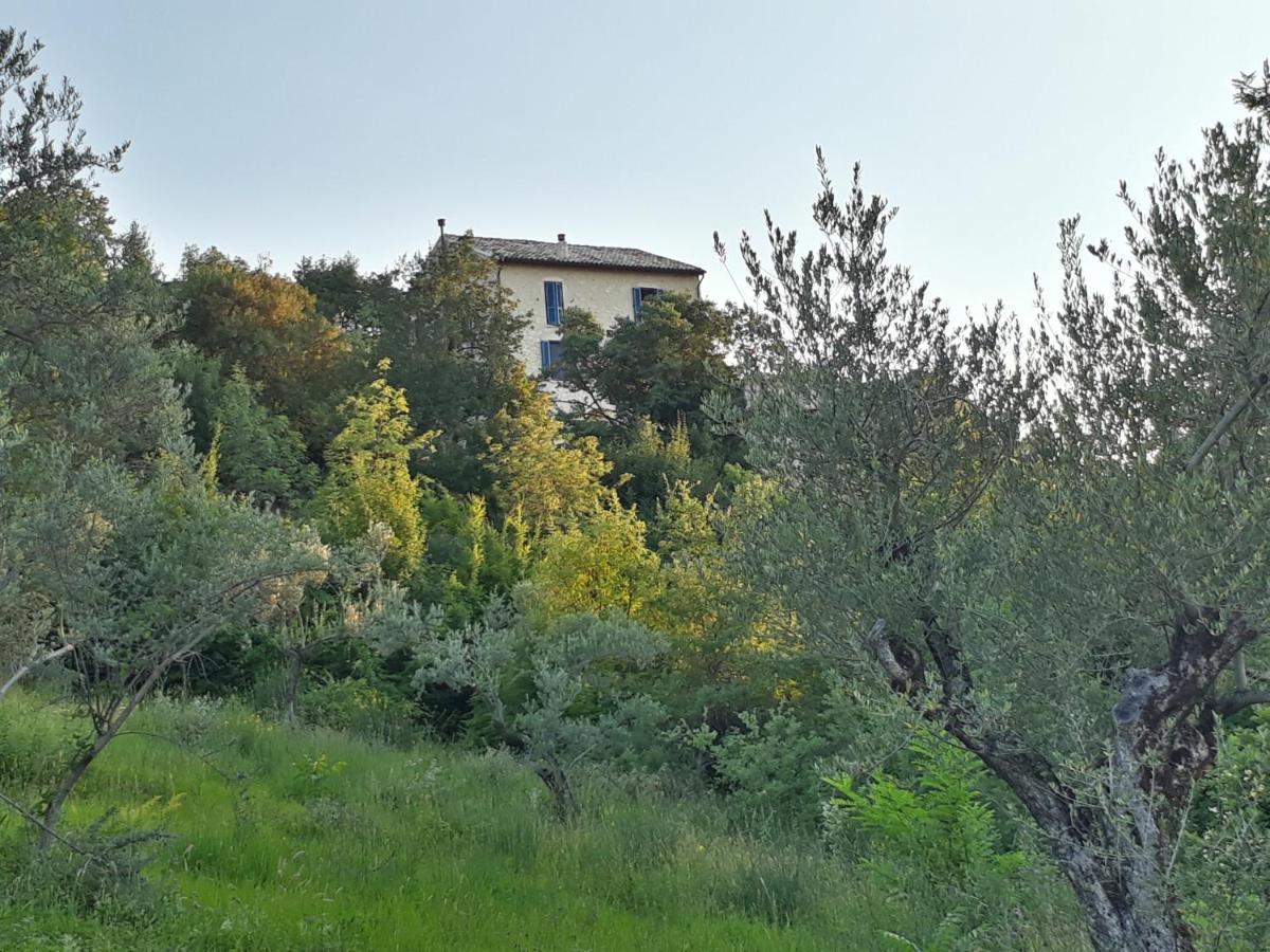La Casa Dalle Finestre Blu Abbateggio Eksteriør bilde