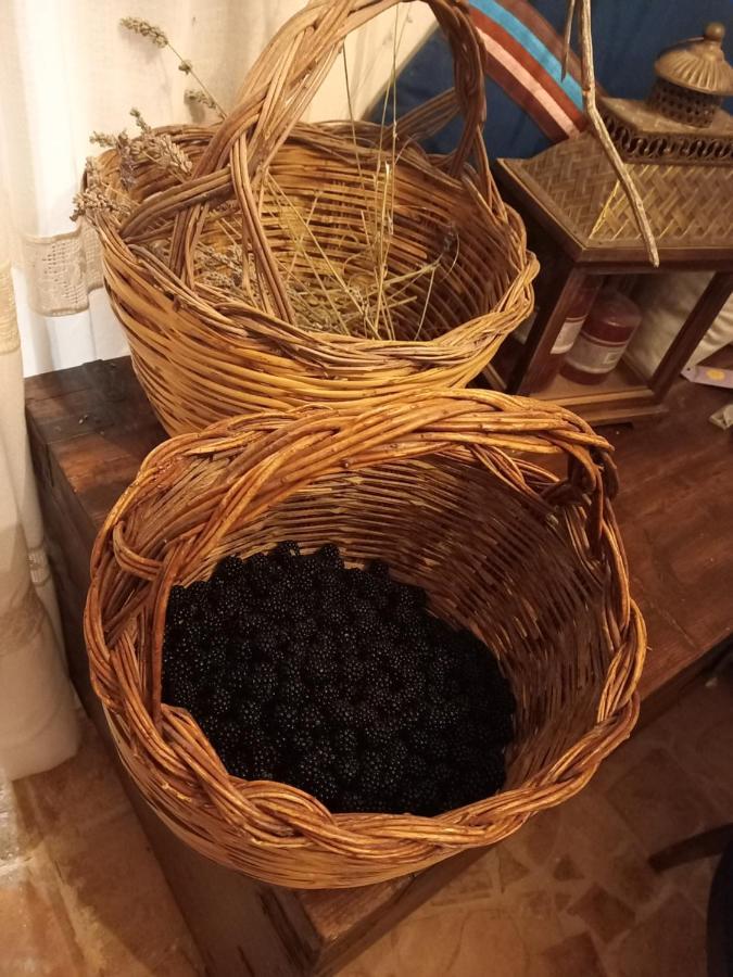 La Casa Dalle Finestre Blu Abbateggio Eksteriør bilde